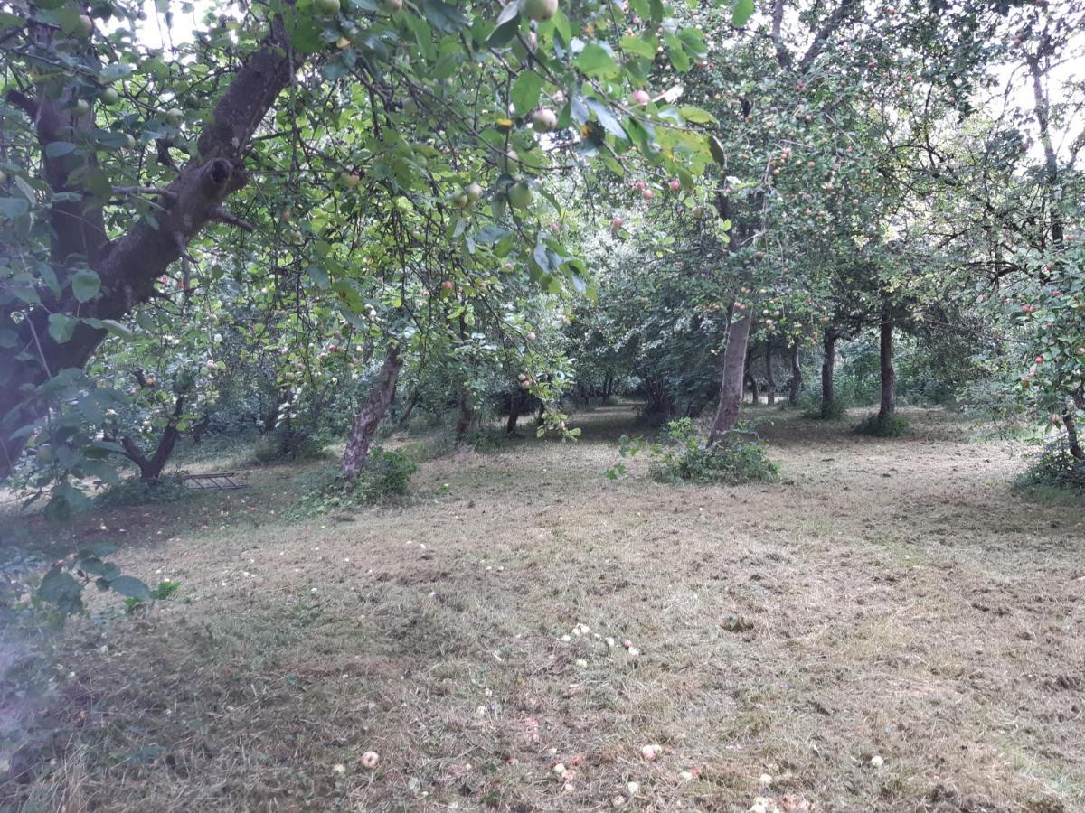 Lundtofthoj Appartamento